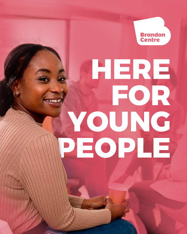 Brandon Centre - Family & Young People Charity - Website Digital Marketing - Hands Digital