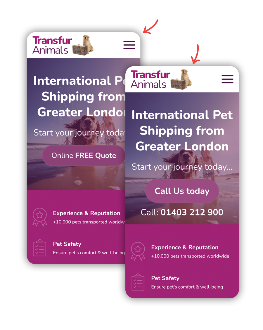 Google Ads Company Essex - Hands Digital - Transfur Animals